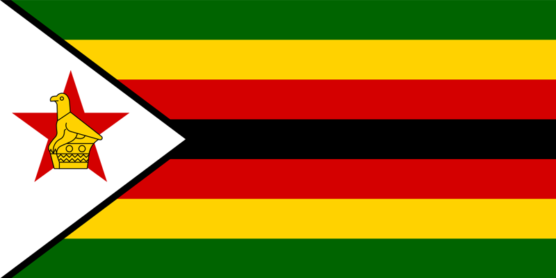 Audrey Simbiso, Design Thinking, Zimbabwe, Global Educators